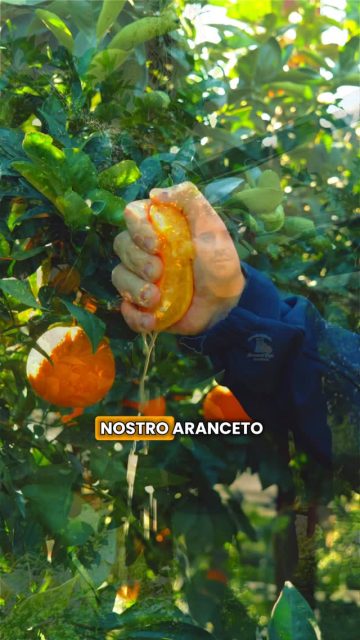 Video girato da Creativa per un locale in Sicilia
