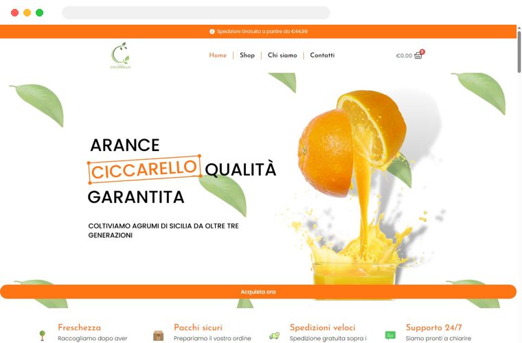 Sito web realizzato da Creativa