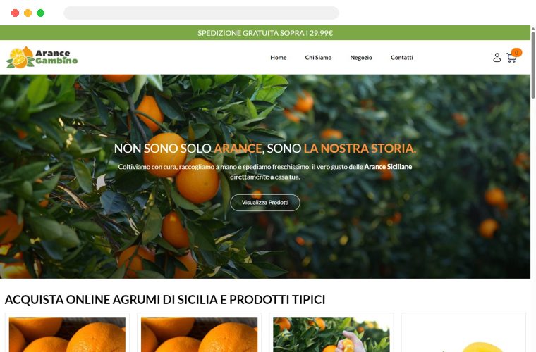 Sito web realizzato da Creativa