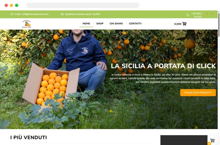 Sito web realizzato da Creativa per Arance Sanzone