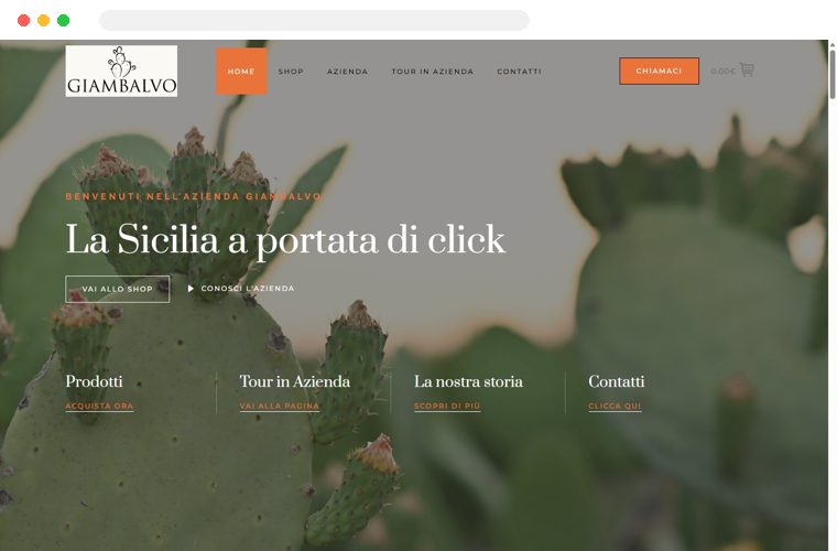 Sito web realizzato da Creativa