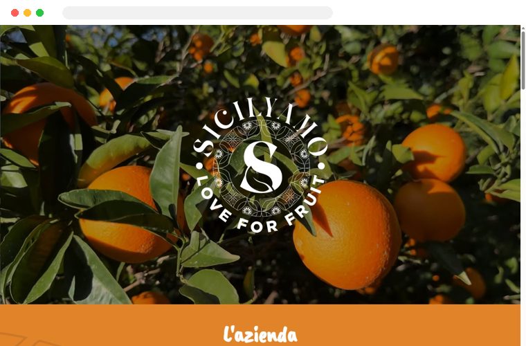 Sito web realizzato da Creativa