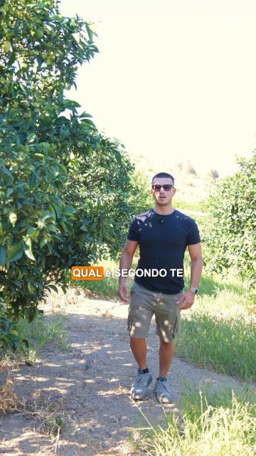 Video girato da Creativa per un locale in Sicilia